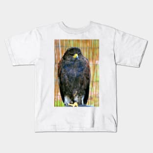 Harris Hawk Bird Of Prey Kids T-Shirt